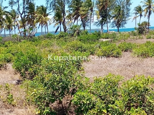 Beach Plot For Sale At KIGAMBONI JIJINI Dar Call Us 0784862313