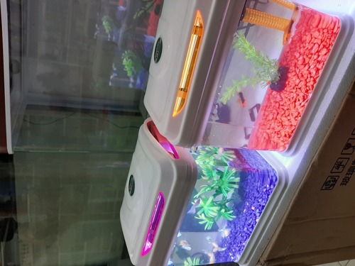 Four (04) Litres Fish Tank with LED Light, Food, Filter, Fish