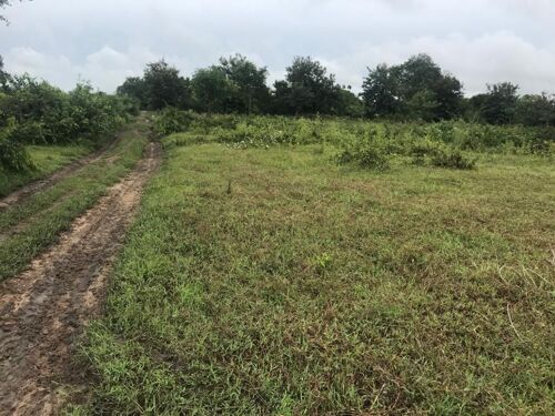 Viwanja BAGAMOYO FUKAYOSI KM 1