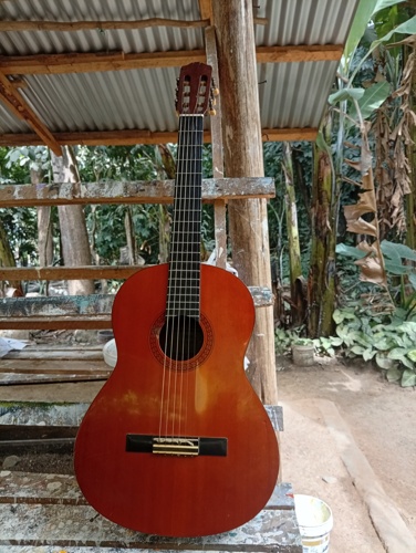 Acoustic guitar 