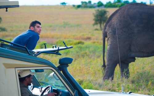 5 Days Tanzania lodge Safari | Leken Adventure