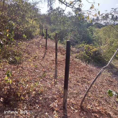 Fencing Poles