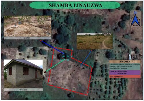 SHAMBA LINAUZWA