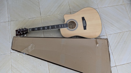 Acoustic electric guitar 