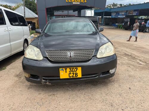 GRAND MARK 11 INAUZWA MWANZA 