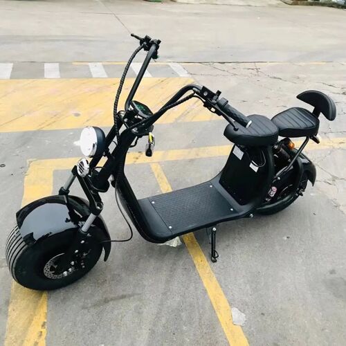 Citycoco Electric Scooter 