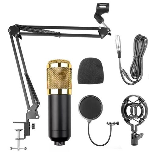 BM800 Studio Microphone Profes