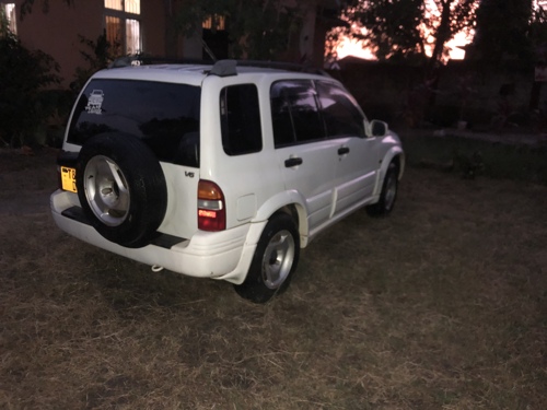 suzuki