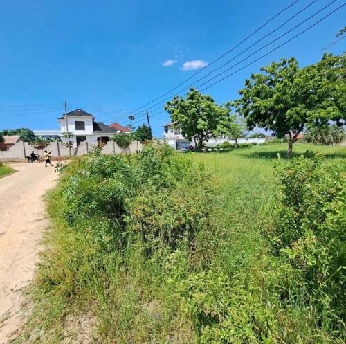 PLOT FOR SALE