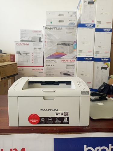 Printer PANTUM p2509