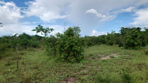 Ekari 6 fukayosi Bagamoyo 