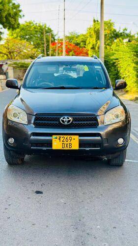 RAV4 MISS TZ 