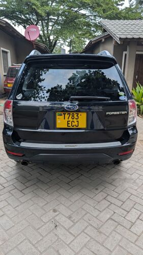 Subaru Forester open roof 