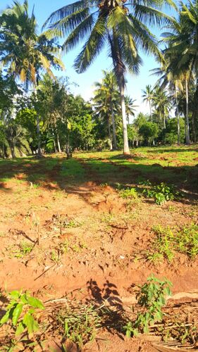 Viwanja Chanika karibuni sana 