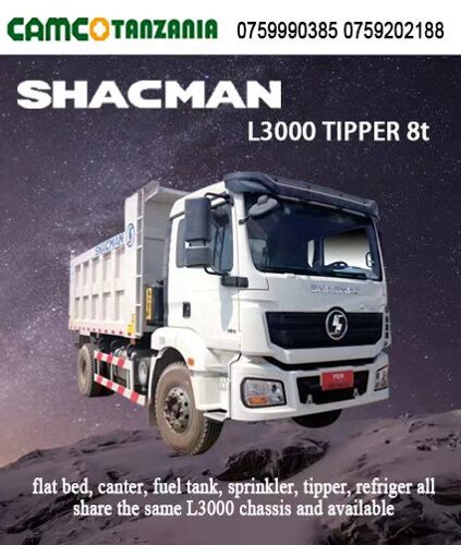 Tipper L3000  8T (shacman) all new