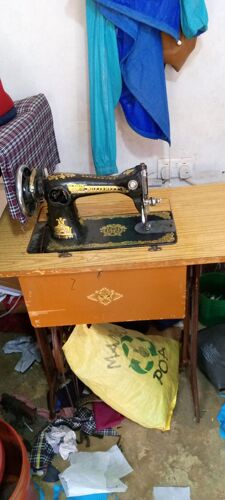 Butterfly sewing machine 