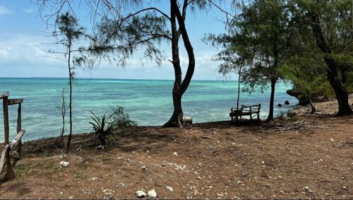 Beach plot for sale at pongwe 