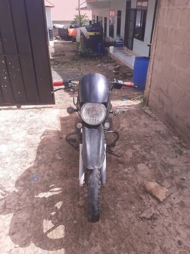 King lion boxer BM 150