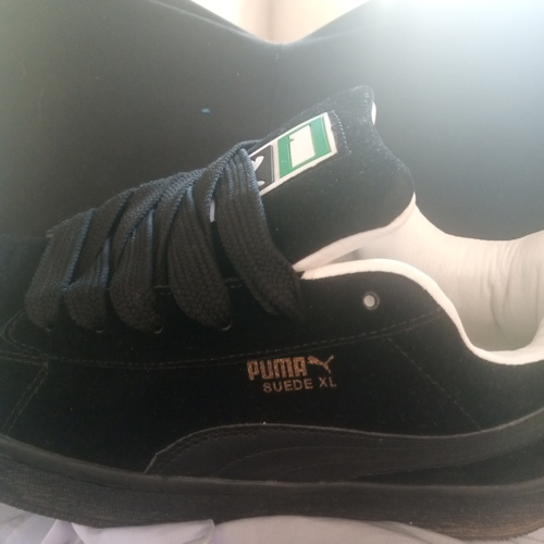Puma suide xl