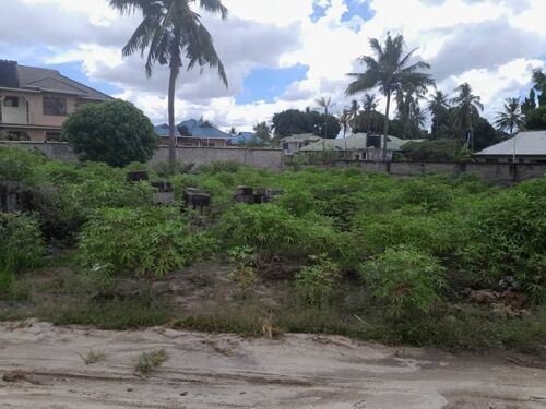 PLOT FOR SALE AT BOKO BASIHAYA