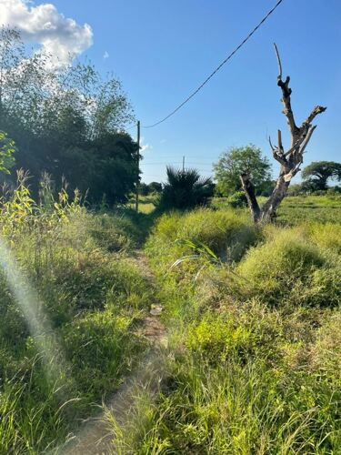 900 sqm plot for sale Kigambon
