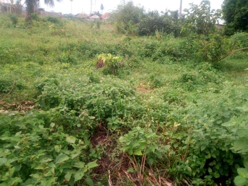 kiwanja kinauzwa mikwambe kigamboni