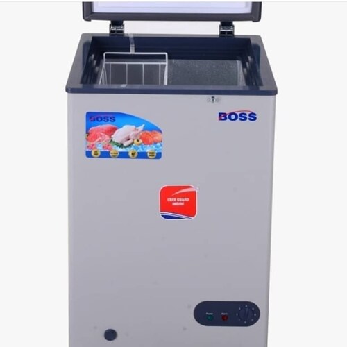 Boss feidge 100L