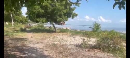 4000 SQM.BEACH PLOT, BAGAMOYO 