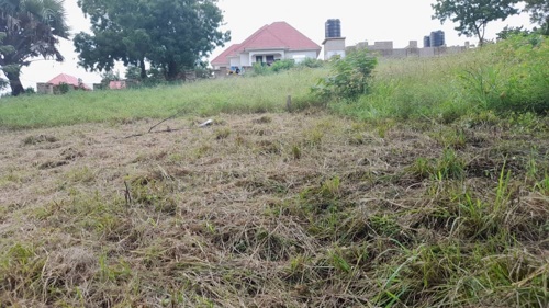 Viwanja Vinauzwa   Center