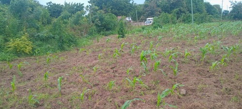 Commercial plot Dege kigamboni