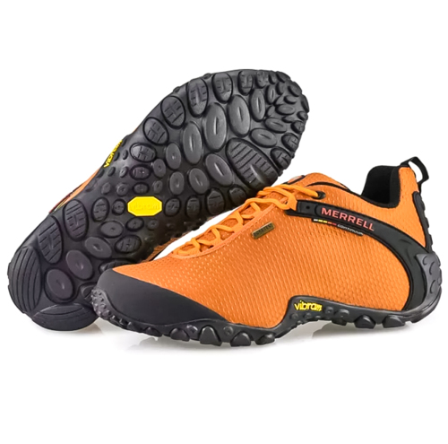 Hiking Shoes 0713299459
