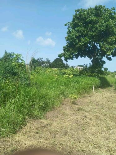 Plot for Sale at Mabwepande
