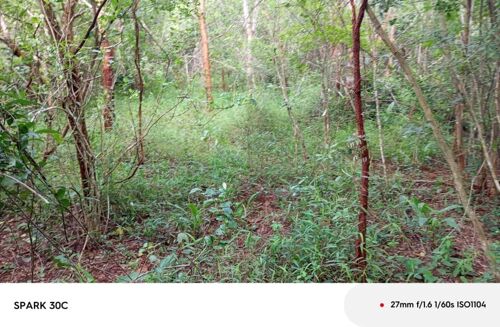 Shamba la eka 500 linauzwa