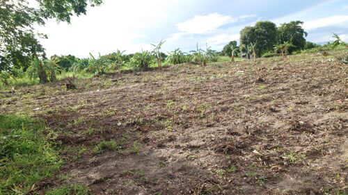 SHAMBA LA EKARI 5 LINAUZWA