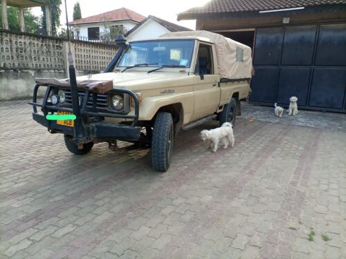 Landcruiser single pickup 1hz
