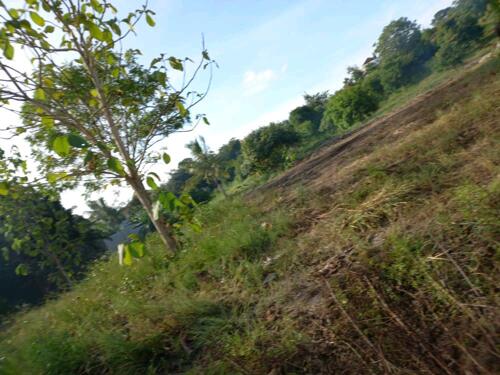 VIWANJA VINAUZWA/ LAND PLOTS FOR SALE GOBA KWA AWADHI