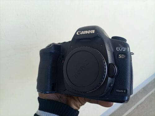 Canon 5D body