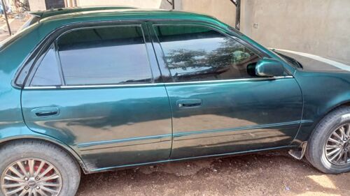 corolla         jmal
