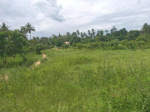 7 ACRES FOR SALE AT MBEZI BEACH