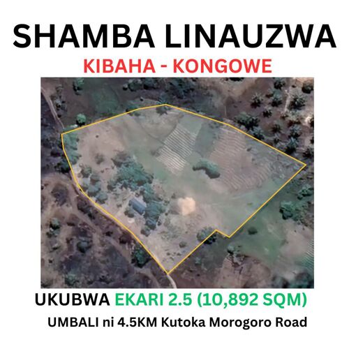 Shamba linauzwa