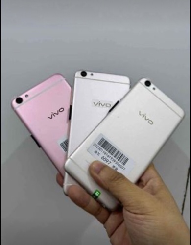 Vivo