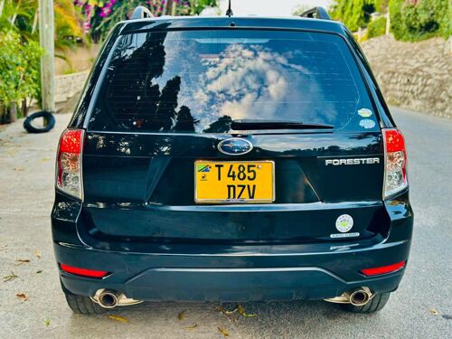 Foresta ipo mwanza wai chap