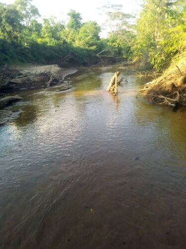 Shamba la eka 100 linauzwa mio