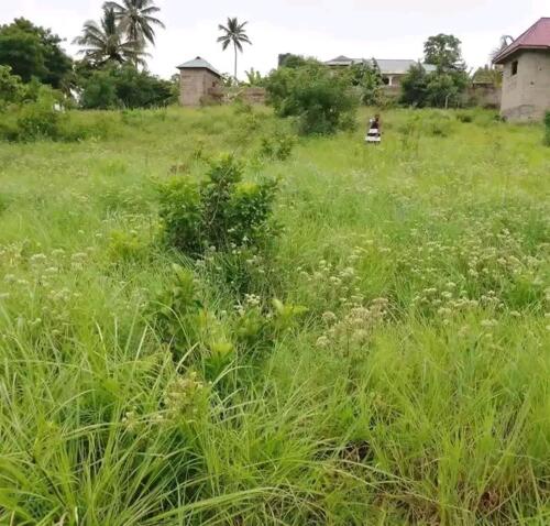 KIWANJA KINAUZWA KIMARA TEMBONI