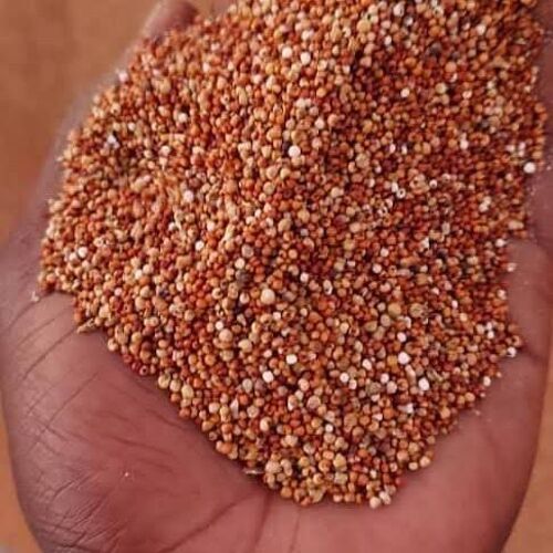 Fingermillet grain for sale