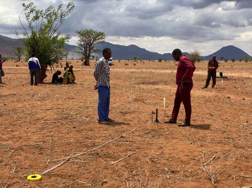 GEOPHYSICAL SURVEY