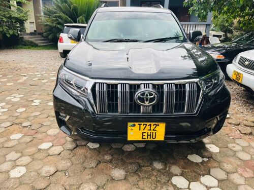 Prado 150 diesel manual 