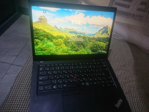 Lenovo Thinkpad X390