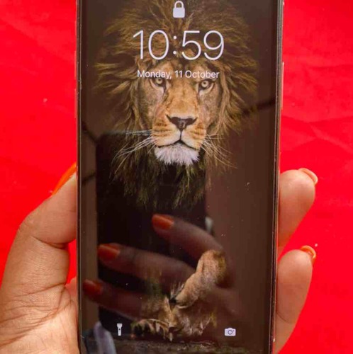 iPhone X