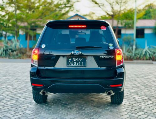 Subaru Forester chassis 
